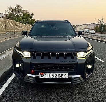 korando turismo: Ssangyong Torres: 2022 г., Кроссовер — 4