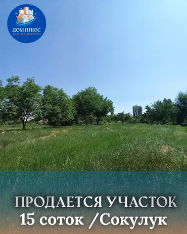земельный участок сокулукский район: 15 соток, Для сельского хозяйства