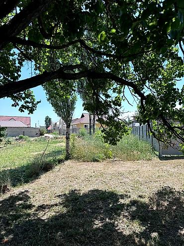 нижняя аларча: 5 соток — 1