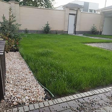 Другие услуги: Озеленение Участков с нуля и под ключ. Автоматические системы полива — 5