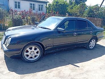 машина bwm: Mercedes-Benz E-Class: 1995 г., 3.2 л, Автомат, Бензин, Седан — 6