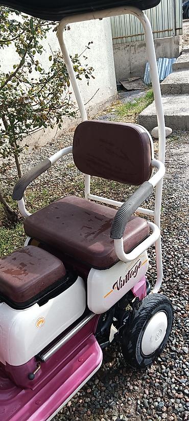 cooling fan: Трёхколёсный электрический скутер с крышей и лобовым стеклом - — 5