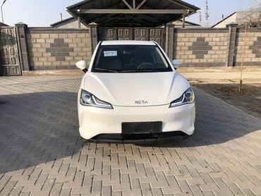 BYD: BYD : 2021 г., Электромобиль, Кроссовер — 10