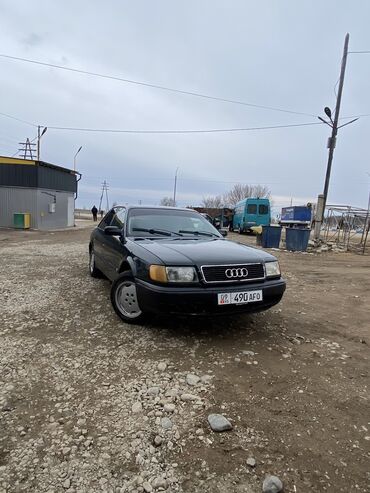 Audi: Audi 100: 1992 г., 2.3 л, Механика, Бензин, Седан