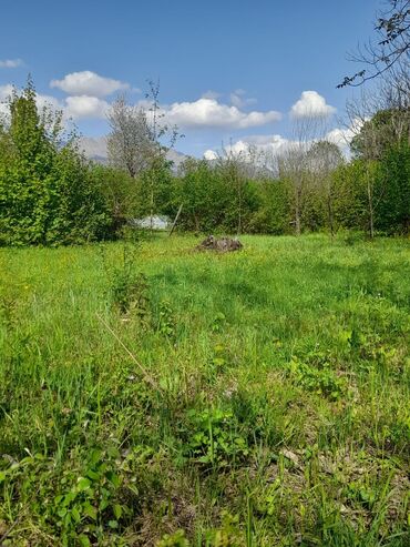 Torpaq sahələrinin satışı: 30 sot, Kənd təsərrüfatı, Mülkiyyətçi, Kupça (Çıxarış) -da lalafo.az — 6 Torpaq sahələrinin satışı: 30 sot, Kənd təsərrüfatı, Mülkiyyətçi, Kupça (Çıxarış) — 6