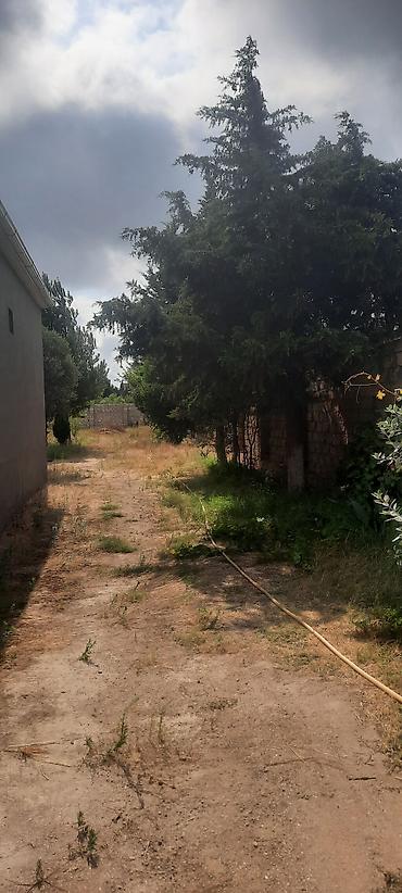 bağça satılır: 9 sot, Tikinti, Kupça (Çıxarış) — 1