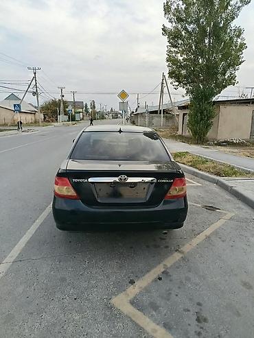 corolla toyota: Toyota Corolla: 2008 г., 1.6 л, Механика, Бензин, Седан — 6