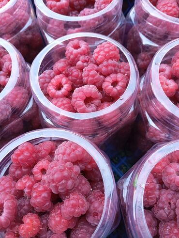 коробки для печенье: Малина Оптом, Бесплатная доставка