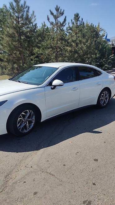 соната желтый: Hyundai Sonata: 2020 г., Автомат, Газ, Седан — 3