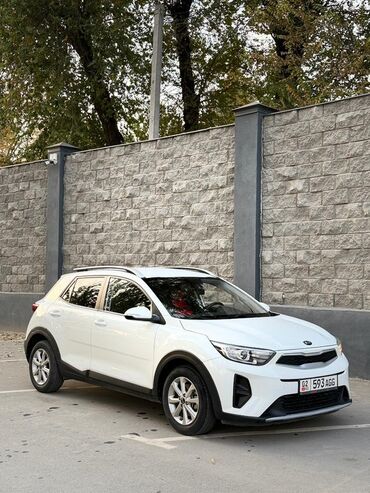 компрессионные гольфы: Kia Stonic: 2019 г., 1.4 л, Автомат, Бензин, Кроссовер