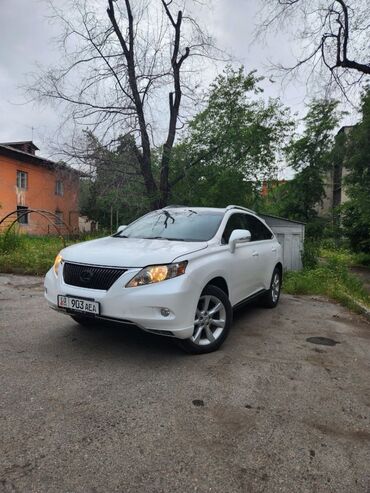 Lexus: Lexus RX: 2010 г., 3.5 л, Автомат, Бензин, Внедорожник