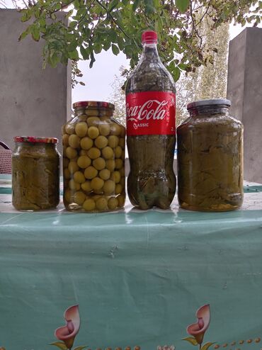 Süd məhsulları və yumurtalar: Ev üsulu konservlər – zeytun və üzüm yarpağı duzlaması hər növ