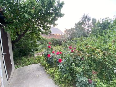 Продажа домов: Дом, 150 м², 6 комнат, Собственник, Косметический ремонт — 2