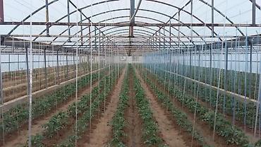 Сварка: Сварка Высотные работы — 32