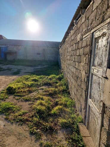 Bağ evlərinin satışı: Bakı, Qala qəs., 550 kv. m, 3 otaqlı, Hovuzsuz, Artezian quyusu, Qaz, Su — 15