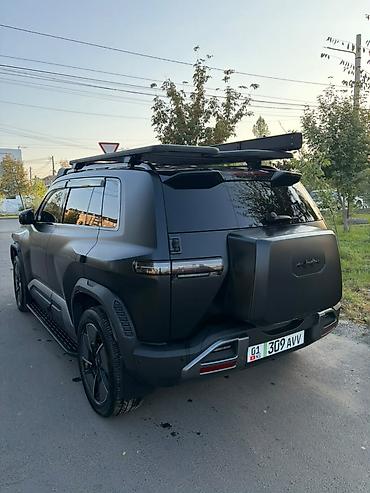 BYD: BYD FangChengBao Leopard 3: 2025 г., Электромобиль, Кроссовер — 5