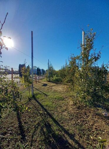 Prodaja zemljišta: Poljoprivredno zemljište — 1