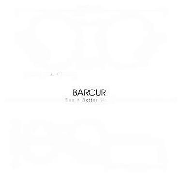 Naočare: BARCUR BC8377 - Polarizovane naočare za sunce BARCUR BC8377 - — 14