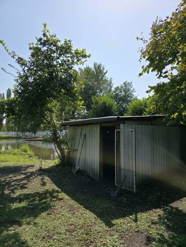 Torpaq sahələrinin satışı: 185 sot, Mülkiyyətçi, Kupça (Çıxarış) — 20