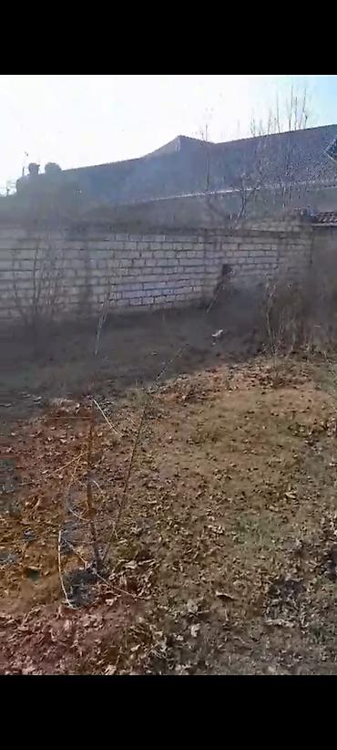 Torpaq sahələrinin satışı: 6 sot, Kupça (Çıxarış) — 18