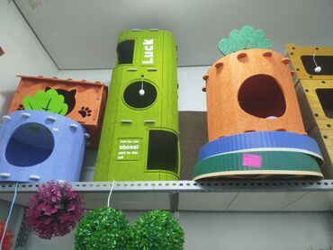 Аквариумы: Предлагается набор маленьких красноухих черепах. Эти черепахи отлично — 12