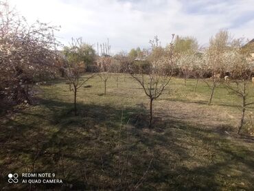 дом сары ой: 9 соток, Айыл чарба үчүн, Кызыл китеп