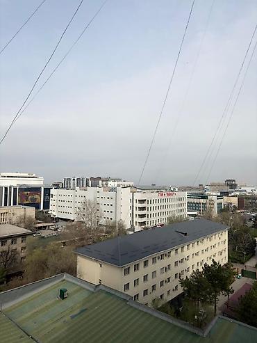 квартира 1000: 3 комнаты, 80 м², Индивидуалка, 10 этаж, ПСО (под самоотделку) — 4