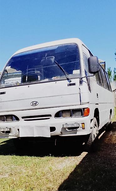 Hyundai: Hyundai midibus - Korpus: Ağ rəngli, şəhərdaxili və yaxın məsafəli — 2