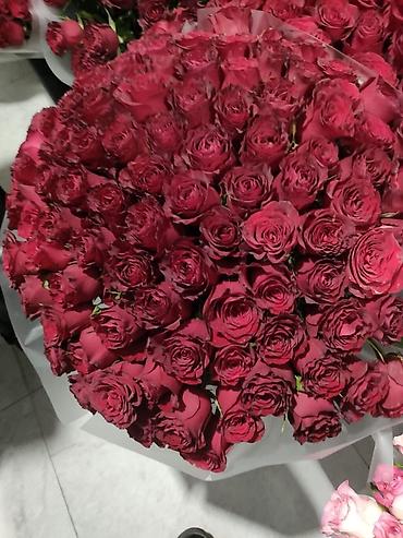 Букеты из живых цветов: Голландские Тюльпаны Оптом и в розницу!И Розы размеры 70см 80 см и 60 — 11