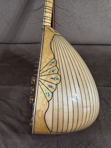 Saz: Sarı saz Yaygın saz evinin alətidi yenidi üstündəki adı lazım olsa — 6