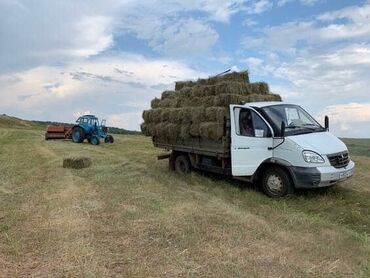 А/ч жаныбарларын сатам: Продаю🍀 3-укос☘️ чистые, зелёные, сухие тюки клевера, хранятся под