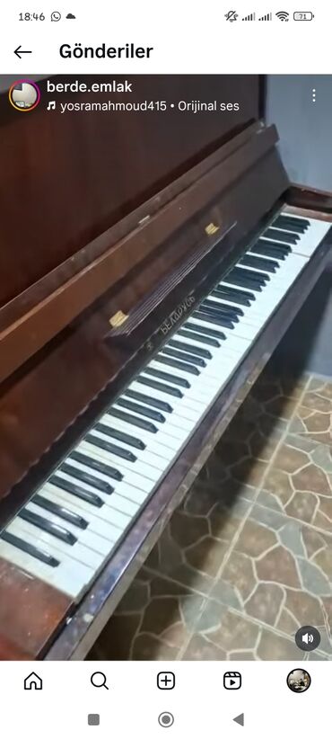 caki caki piano: Пианино, Беларусь, Акустический