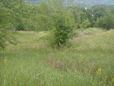 Torpaq sahələrinin satışı: Tikinti, Mülkiyyətçi, Kupça (Çıxarış)