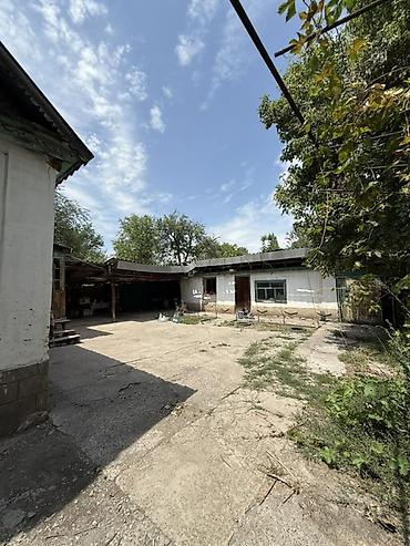 место отдыха: Продается домовладение с участком правильной формы с. Полтавка ул — 6