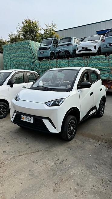 Microcar: Microcar : 2026 г., Электромобиль, Минивэн — 30