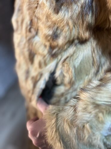 Krzneni kaputi: Bunda od pravog krzna nerca, nošena je, ali je nako dobro očuvana — 6