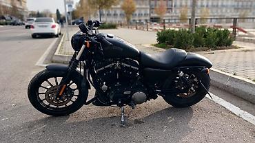 harley davidson: Harley Davidson - HARLEYDAV, 880 sm3, 2014 il, 12000 km — 3