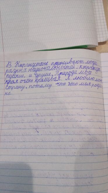 биндеры 160 листов для дома: Тетрадь в линейку с полями, формат примерно A5. На фото — разворот с
