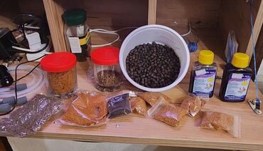 Akvariumlar: Dördbucaq akvarium, Balıqlarla birlikdə, 120 l — 17