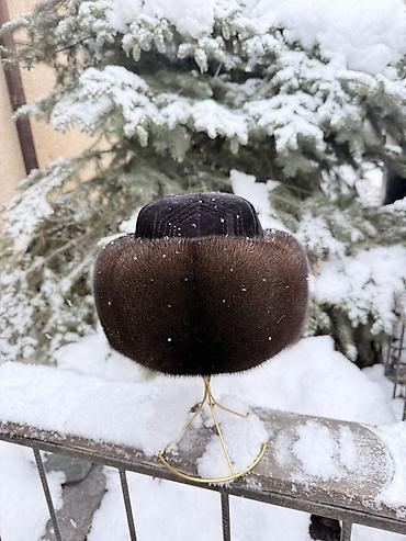 Шапки: Шапка, Ушанка, Норка, Зима, С отворотами — 5