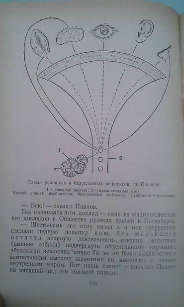 Книги и журналы: Продаются разные книги о знаменитых личностях: "Иван Павлов" 1952 год — 8