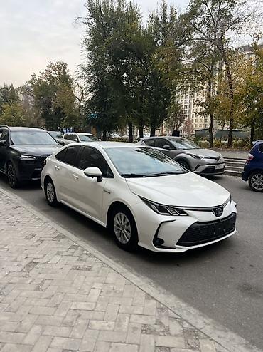продажа гибридных автомобилей: Toyota Corolla: 2023 г., 1.8 л, Вариатор, Гибрид, Седан — 2