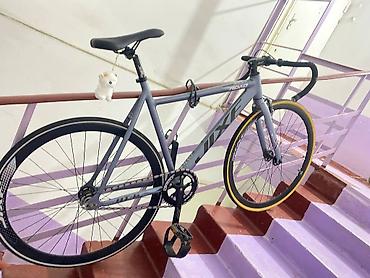 велосипед багажник: Шоссейный велосипед, Рама M (156 - 178 см), Б/у — 1