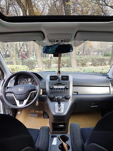 type r: Honda CR-V: 2008 г., 2.4 л, Автомат, Бензин, Внедорожник — 8