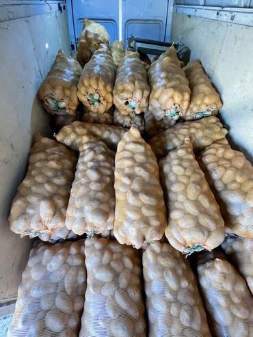 печка для дома бишкек: Картошка Джелли, Оптом