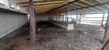 Продажа домов: Дом, 1000 м², 2 комнаты, Собственник, Старый ремонт — 9