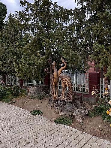 жильё: Аренда квартиры на Иссык-Куле, Радуга West, Кош-Кол, Цена Целиком за жилье — 4