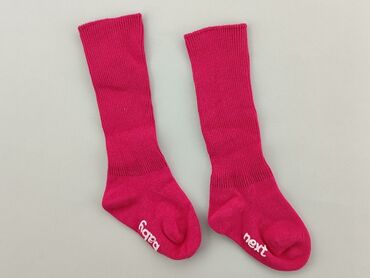 Socks and Knee-socks: Knee-socks, Next, 16–18, condition - Ideal