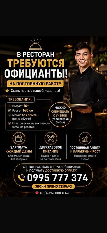Требуется Официант Без опыта, Оплата: Ежедневно