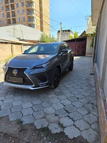 лексус 300 авто: Lexus NX: 2020 г., 2 л, Автомат, Бензин, Кроссовер